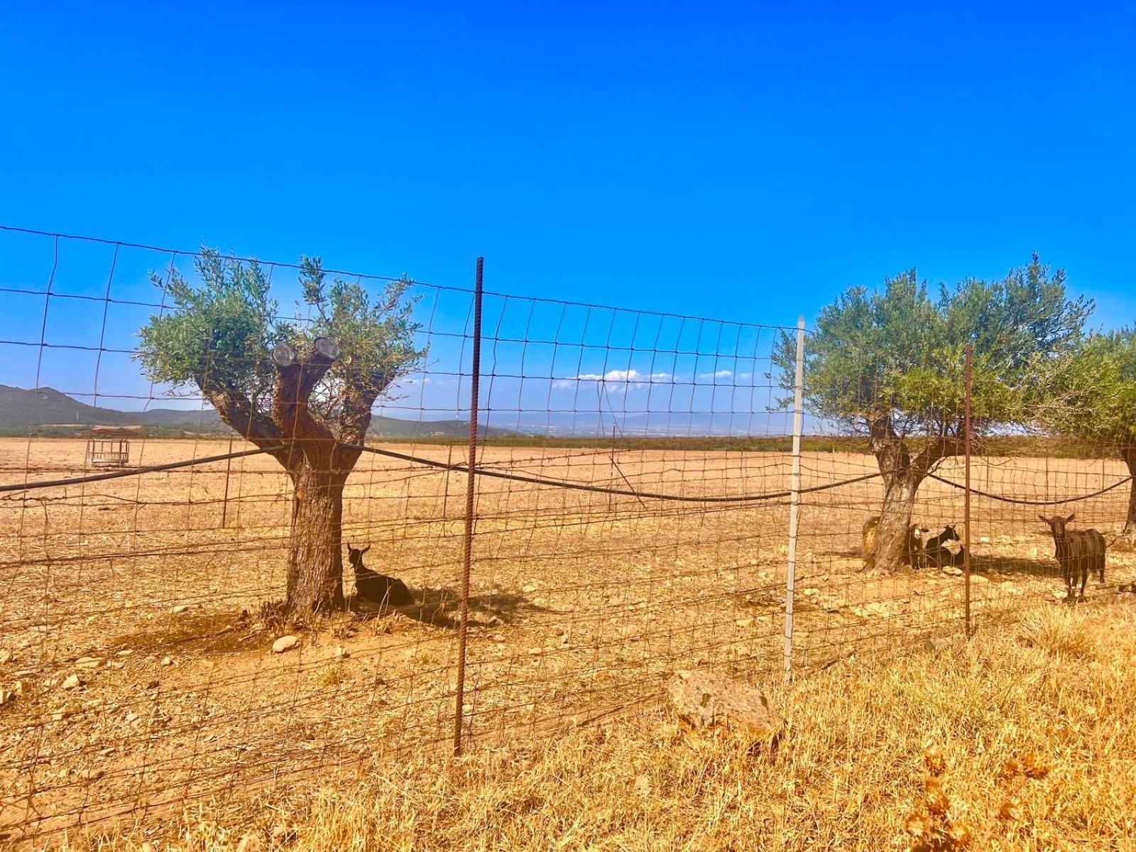 Villetta Sisini - Key To Villas Capoterra Buitenkant foto